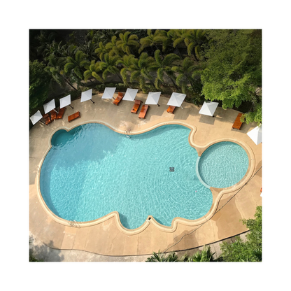 Aiper Seagull Pro – Robot nettoyeur de piscine sans fil nouvelle génération