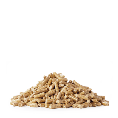 Holzpellets Green 65 x 15 kg