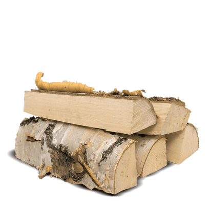 Brennholz Brennholz Birke 1 RM 500 kg ( Scheitlänge 33 cm )